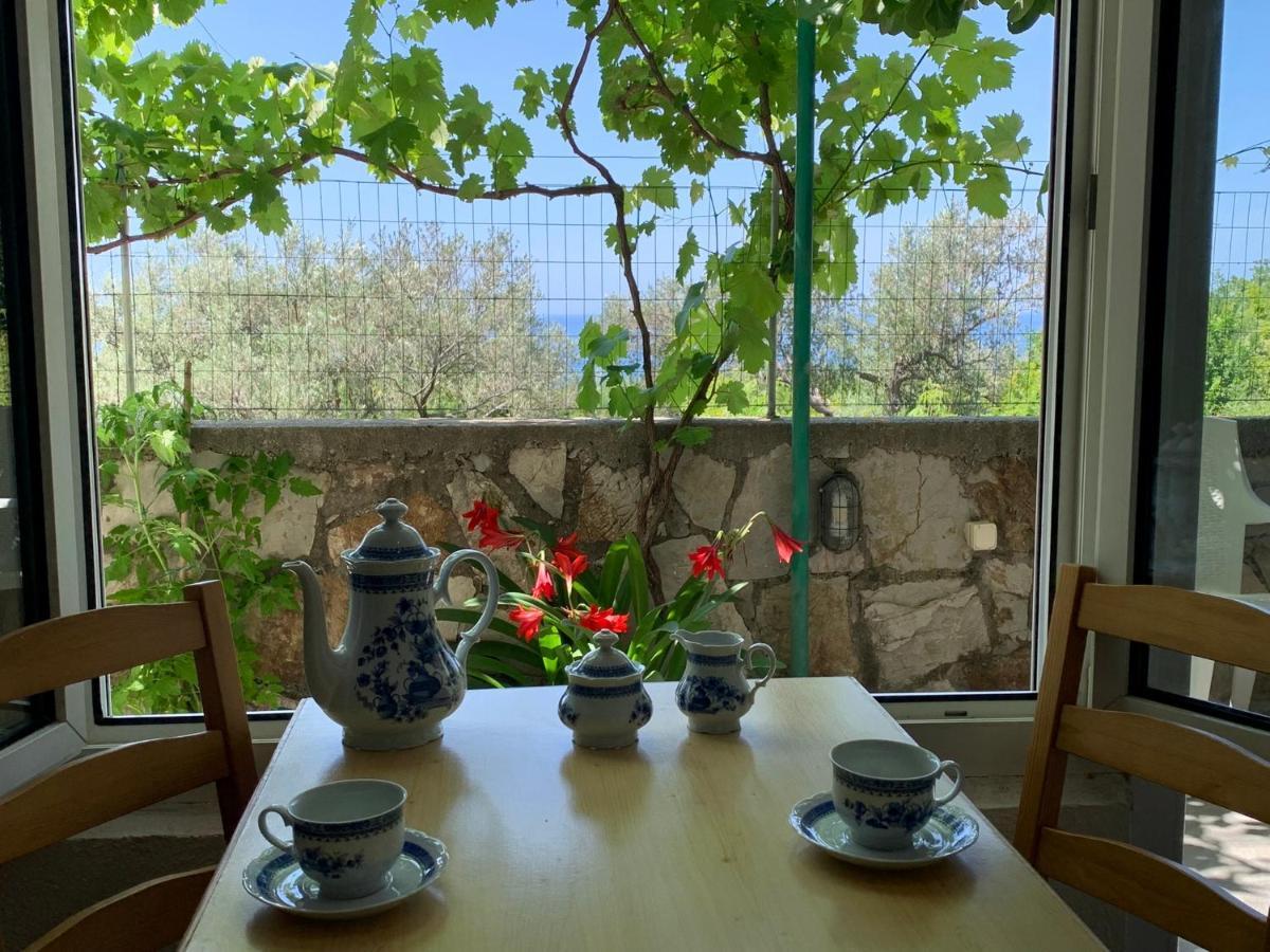 Apartments Mirian Petrovac Exterior photo