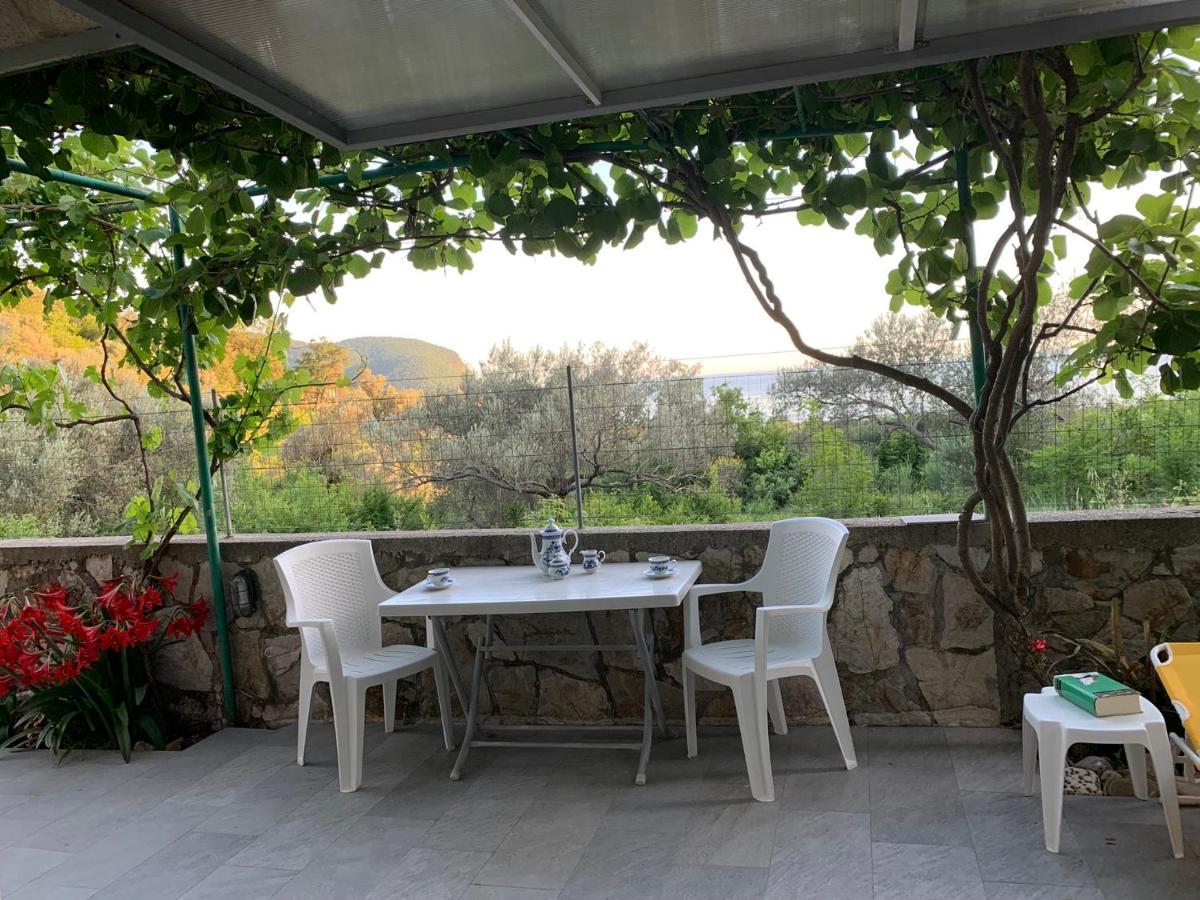 Apartments Mirian Petrovac Exterior photo