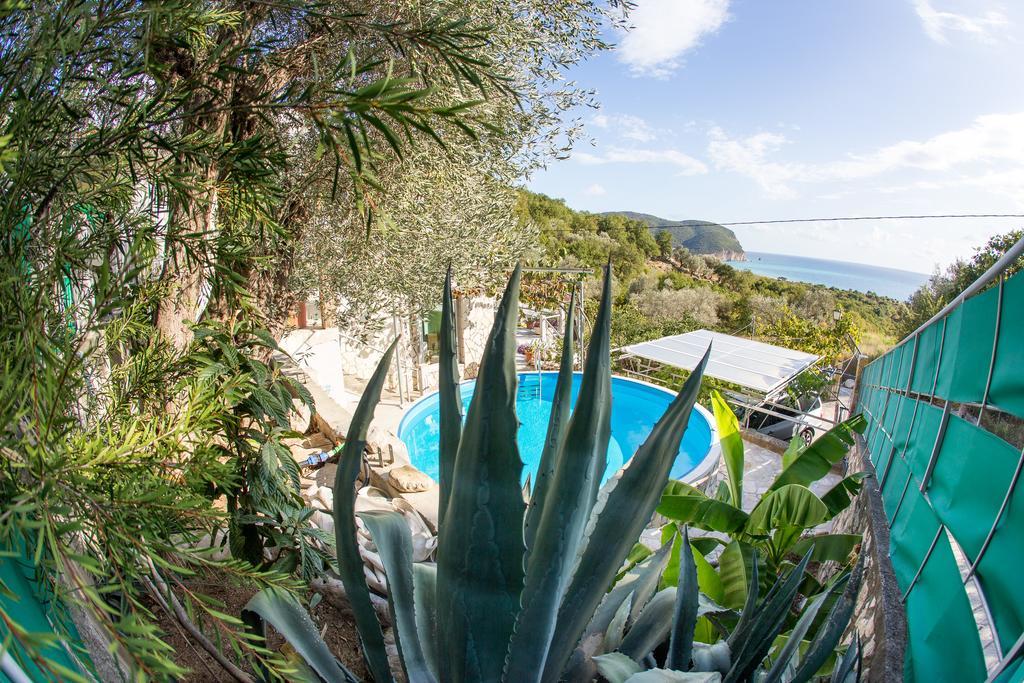 Apartments Mirian Petrovac Exterior photo